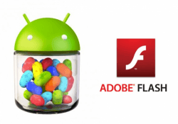 Adobe Flash Player y AndroiI'd Jelly Bean