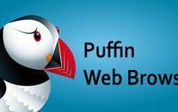 Puffin, navegador web con Flash